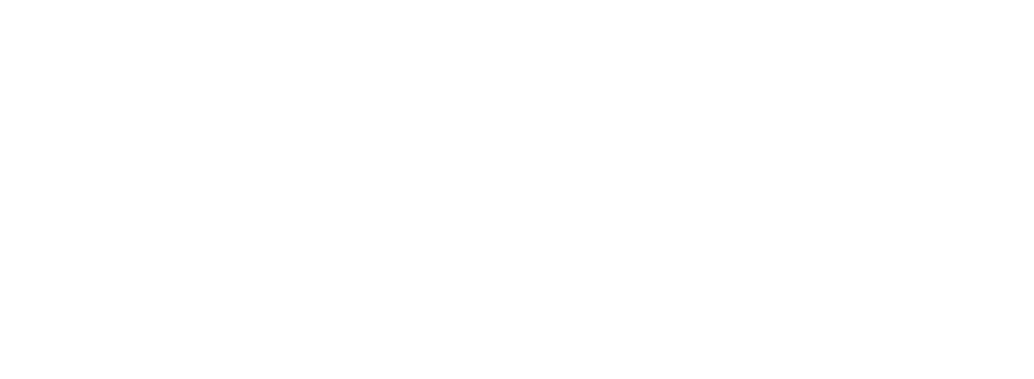 logo_img